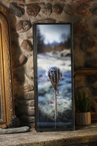 Image 1 of "A la bergerie"