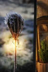 Image 3 of "A la bergerie"