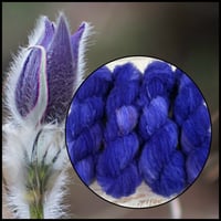 Image 1 of Intense Iris ☁️