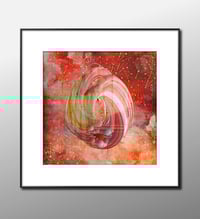 Image 2 of Heteropagus