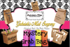 🛍️Mystery Grab Bag🛍️