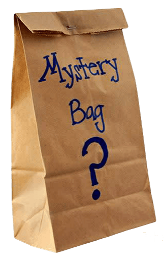 🛍️Mystery Grab Bag🛍️