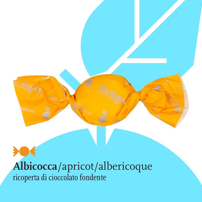 Albicocca