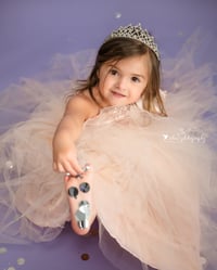 Image 1 of Glitter Mini Sessions