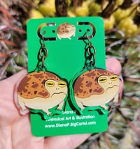 Image 3 of Angry Froggo Earrings 