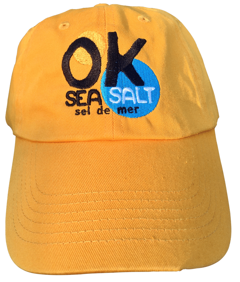 Embroidered Dad Hat Image 2