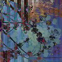 Image 1 of Whatever kind of animal you are