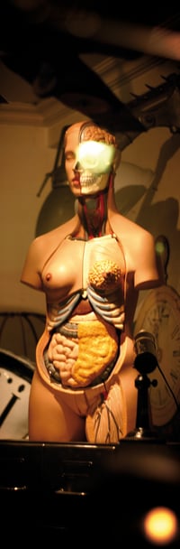 Image 3 of "Anatomia"