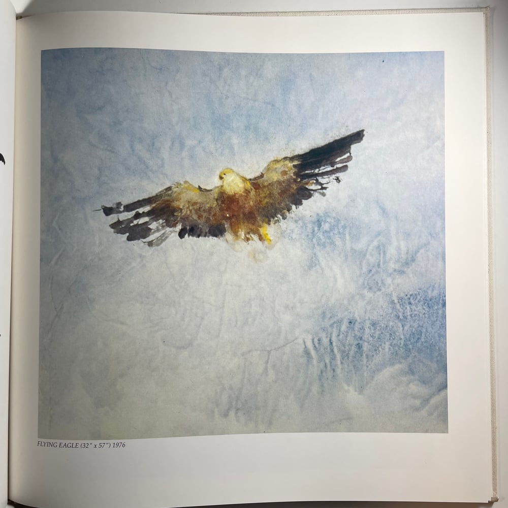 BK: Chen Chi - Heart + Change watercolor paintings Clothbound HB VG-