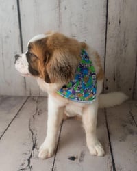 Image 4 of Blue & Green Easter Bunnies Pet Bandana