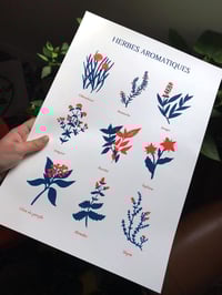 Image 1 of Affiche A3 Herbes Aromatiques