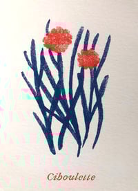 Image 3 of Affiche A3 Herbes Aromatiques