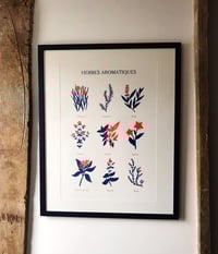 Image 2 of Affiche A3 Herbes Aromatiques