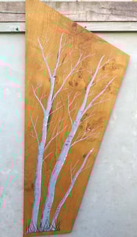 Birch Trees at Minsmere