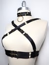 Multi-position harness in satin elastic