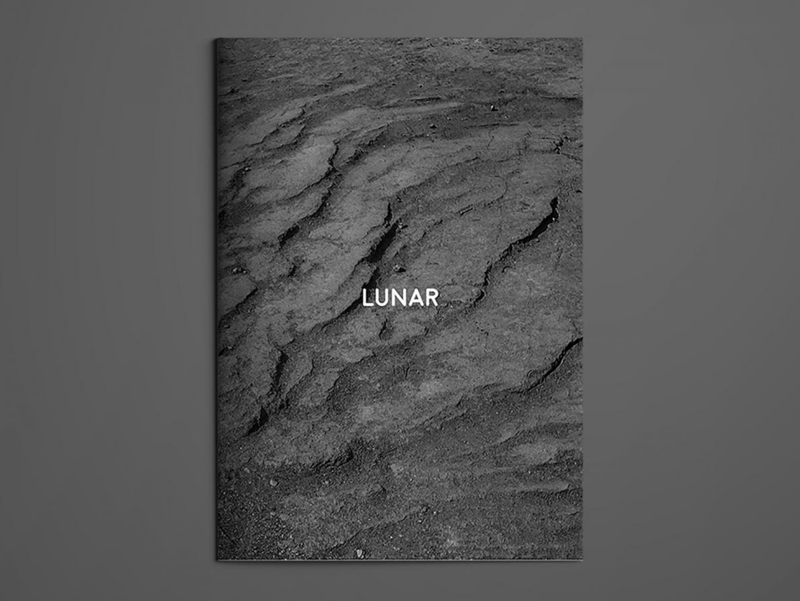 Image of Lunar