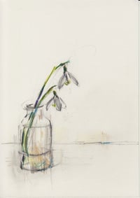 Vase of snowdrops no. 2