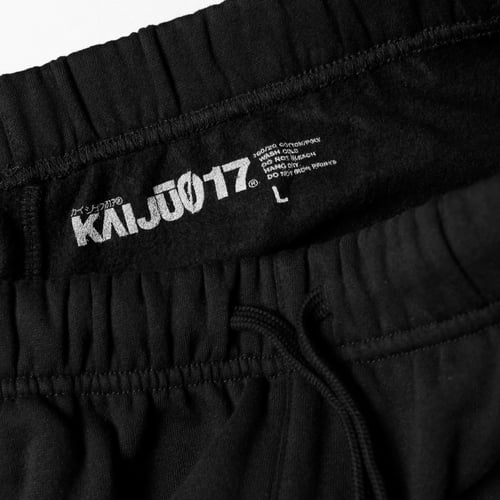 Image of FNDMNTLS_SWTPant / ACID GREEN