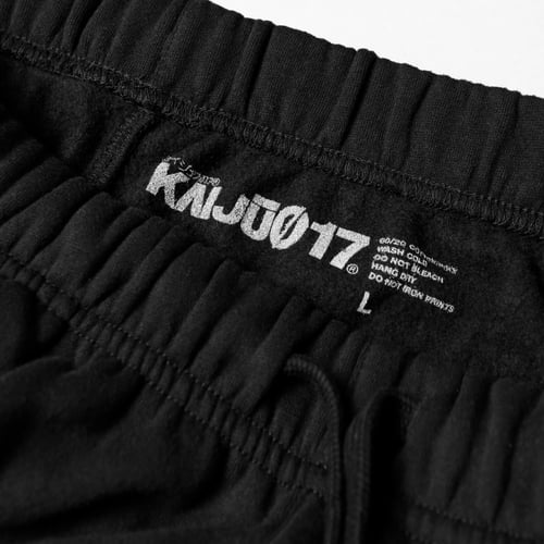 Image of FNDMNTLS SWTPant / REFLECTIVE