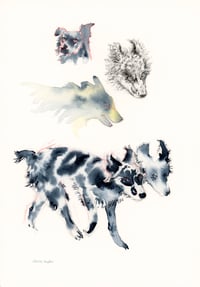 Image 2 of COMMISSION A STUDY of a Creature of your Affection (PET PORTRAIT)