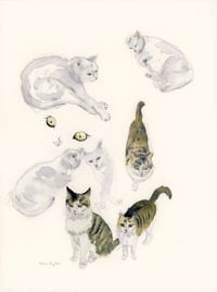 Image 6 of COMMISSION A STUDY of a Creature of your Affection (PET PORTRAIT)