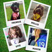 Image 3 of Personalised Football Shirt bandanas