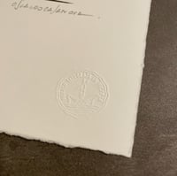 Image 2 of Riot Red Hood