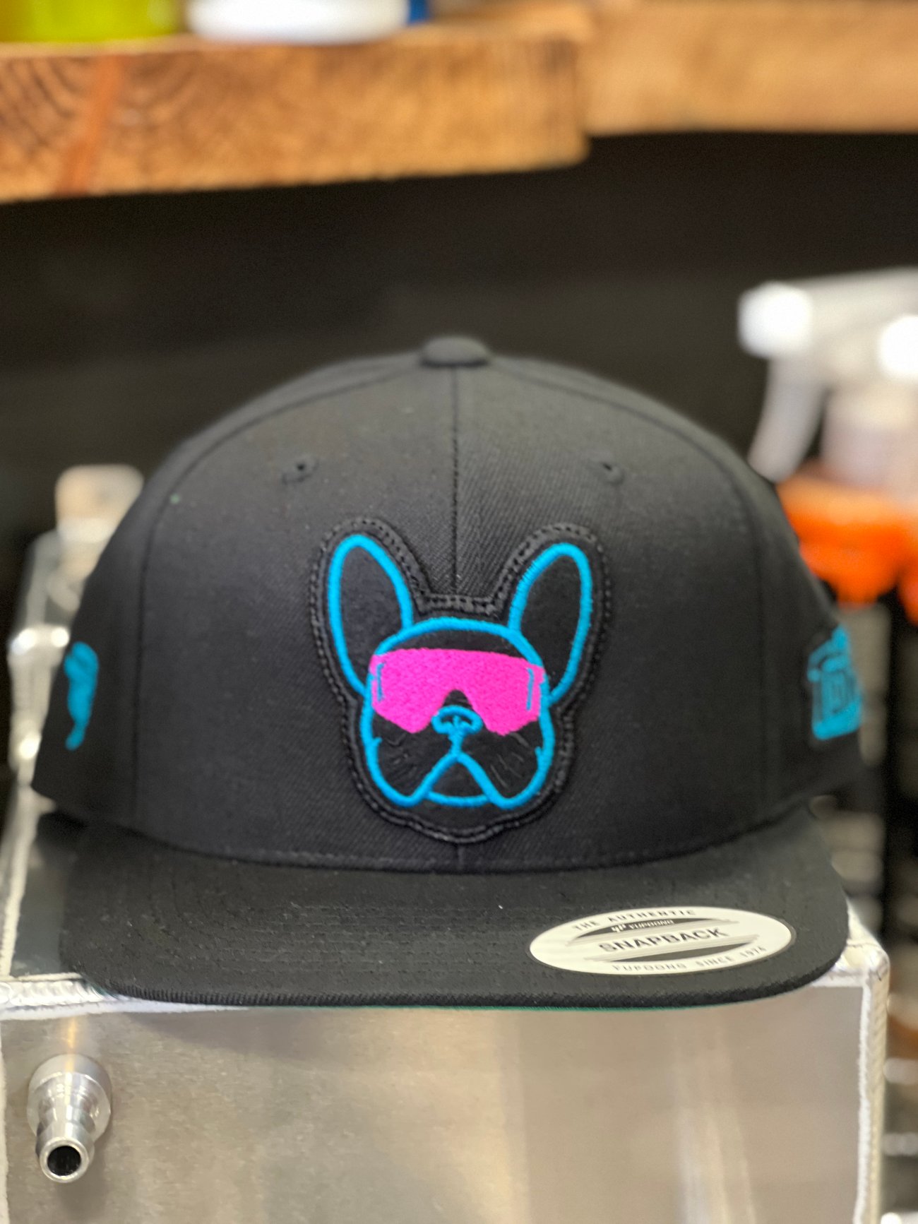 Frenchie Bull -Black with Neon Blue Hat | Project Torque