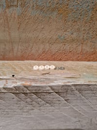 Image 2 of LEVEL-UP beta bushings