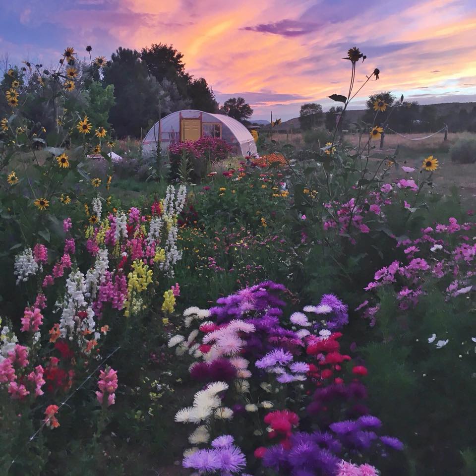 Image of the sacred garden: tending the soil & soul 