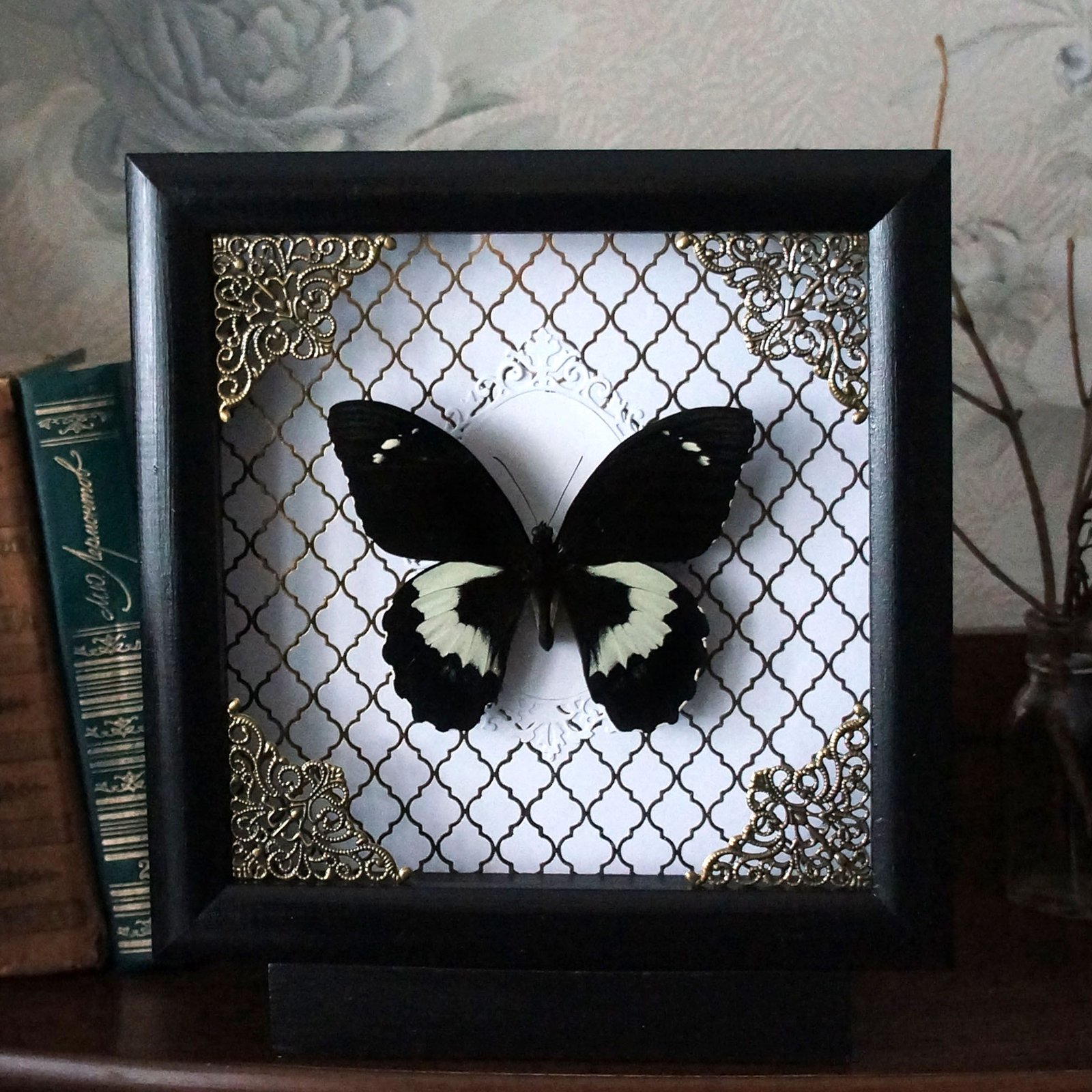 Real Framed Butterfly Collection on sale - Black Frame