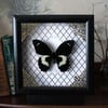 Real framed butterfly, Large