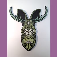 Jackalope - Pistachio 