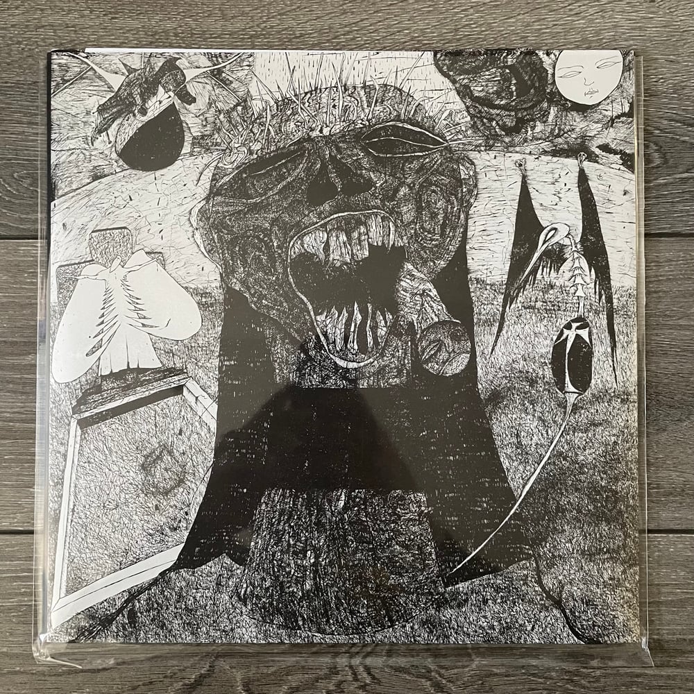 Image of Rudimentary Peni - Death Church Vinyl LP