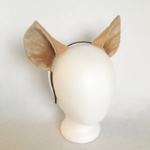 Image of Hyena Ears