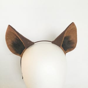 Image of Hyena Ears
