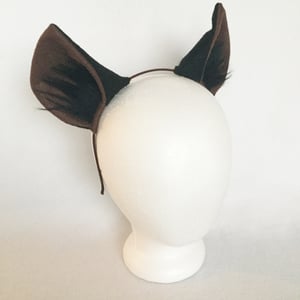 Image of Hyena Ears