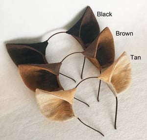 Image of Hyena Ears