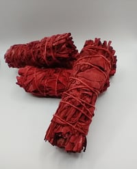Image 2 of Dragons  Blood Sage.