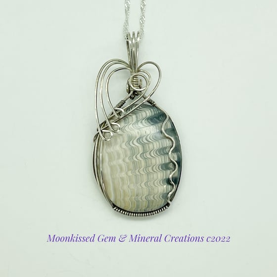 Image of Fossilized Anadara Devincta Shell Sterling Silver Pendant