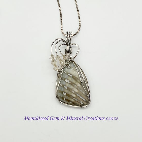 Image of Fossilized Anadara Devincta and Crystal Bead Sterling Silver Pendant