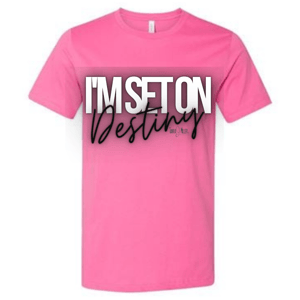 Image of I Am Destiny shirt