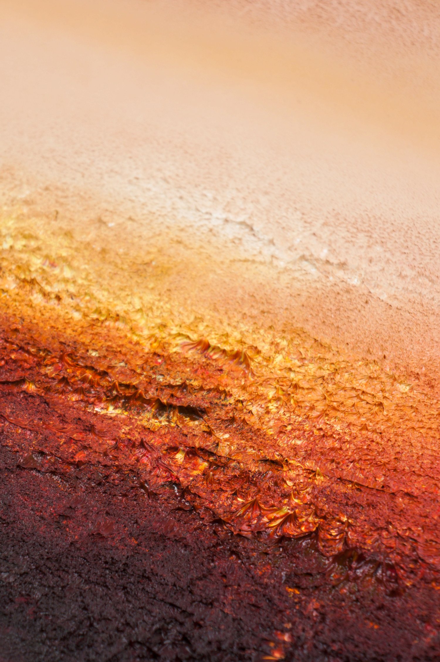 Image of Desert Walk