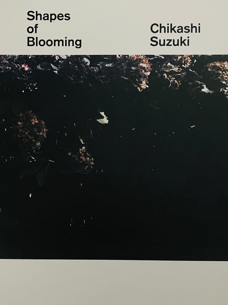 Image of (Chikashi Suzuki) (Shapes of Blooming)