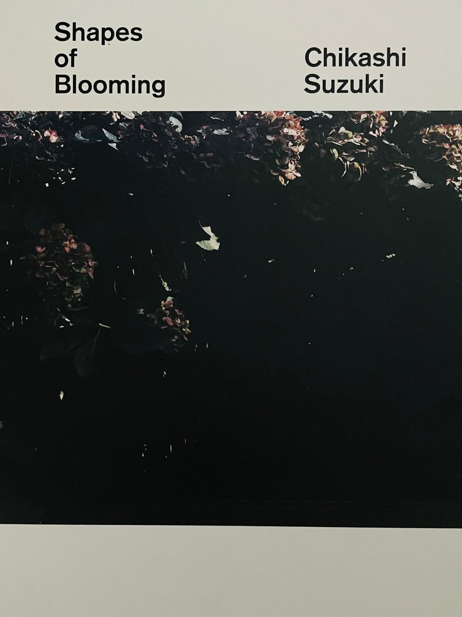 MODEST) BOOKS — (Chikashi Suzuki) (Shapes of Blooming)