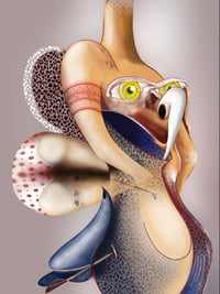 Image 1 of BAJO TU PIEL