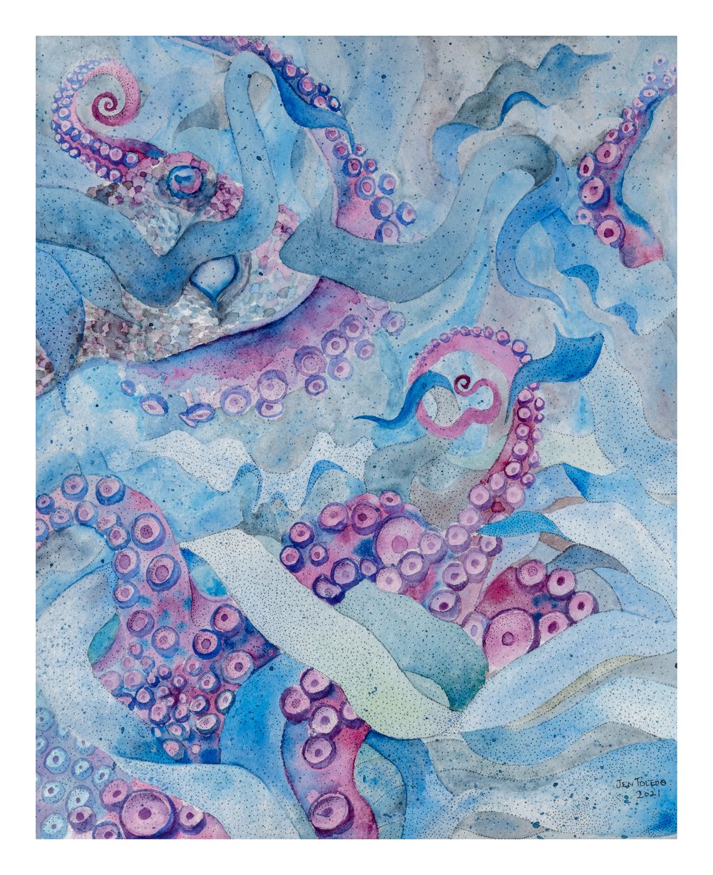 Image of Octopus