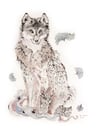 Wolf & Screech Owl
