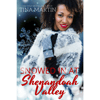 Snowed in at Shenandoah Valley
