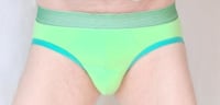 Image 1 of Green Briefs